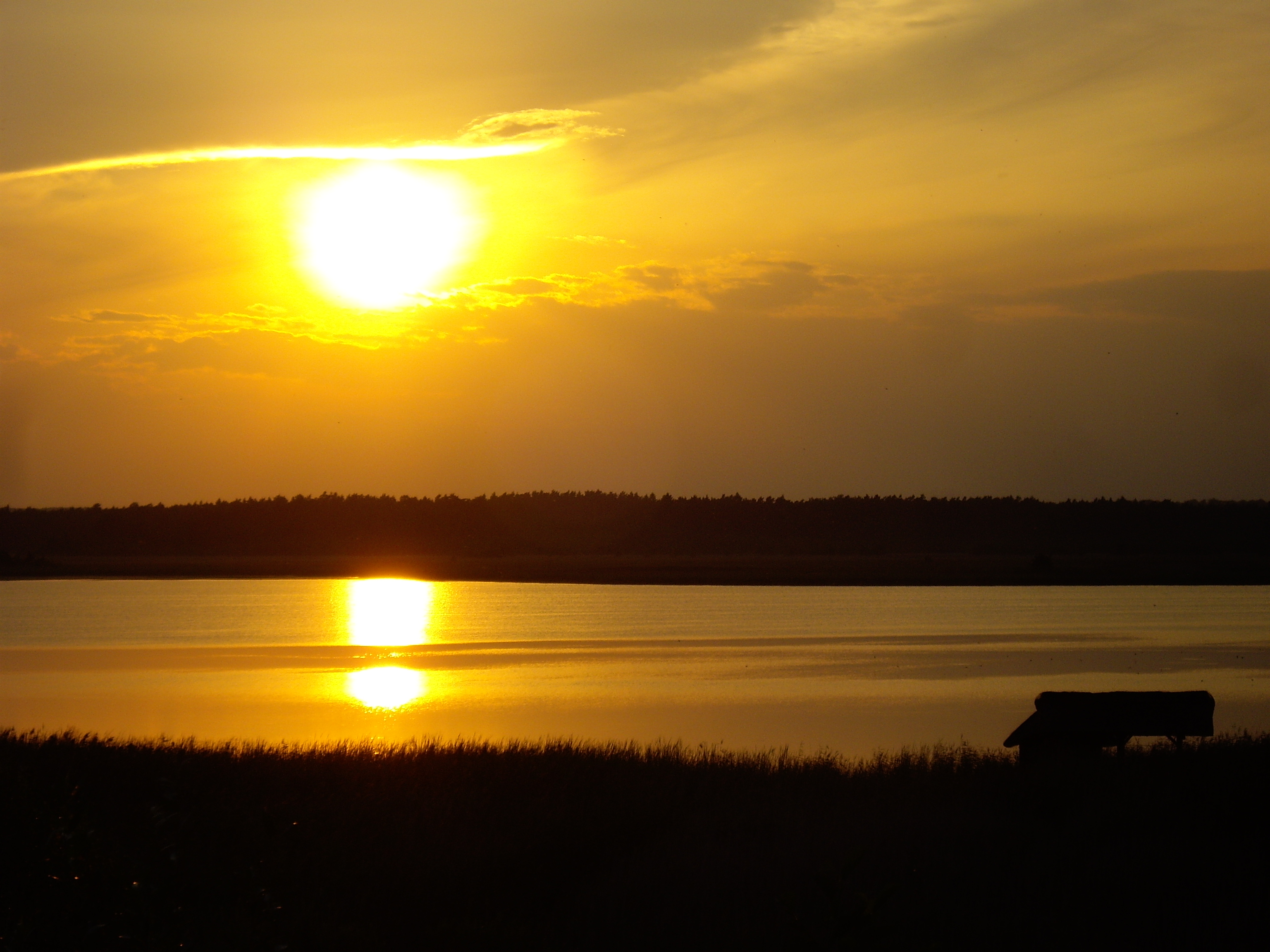 Swidwie Lake Nature Reserve